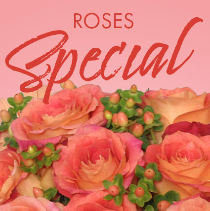 Weekly Special Roses