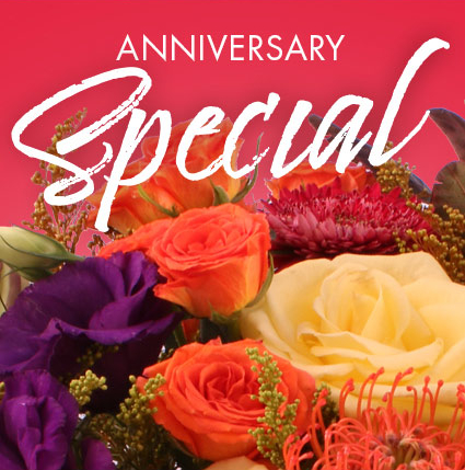 Anniversary Special